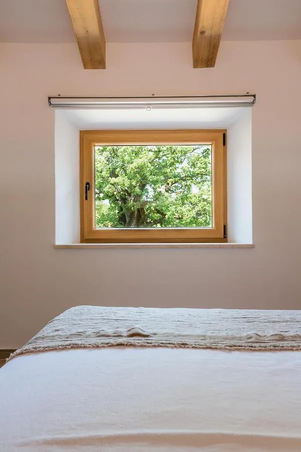 L'Abbraccio Della Quercia - Suites Buje
