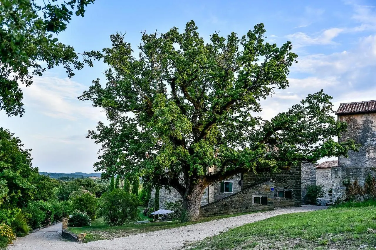 Bed and breakfast L'Abbraccio Della Quercia - Suites Buje Croacia