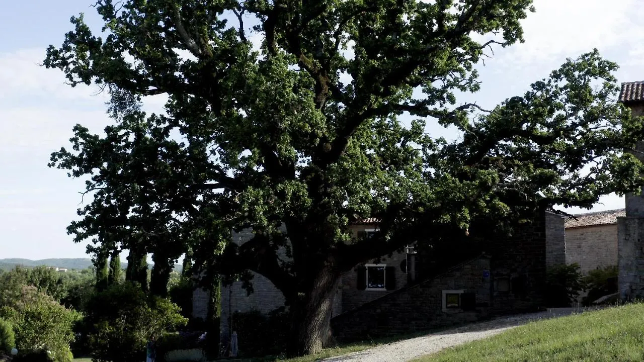 Bed and breakfast L'Abbraccio Della Quercia - Suites Buje